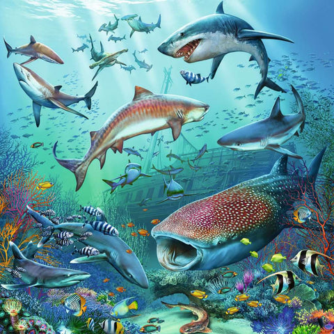 Puzzle Set - Ocean Life (3 x 49pc)