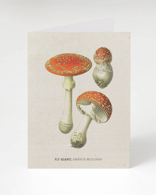 Greeting Card (Blank) - Fly Agaric Poisonous Mushroom