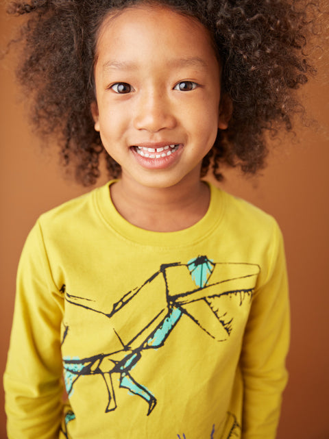 Tee (Long Sleeve) - Origami Dinos