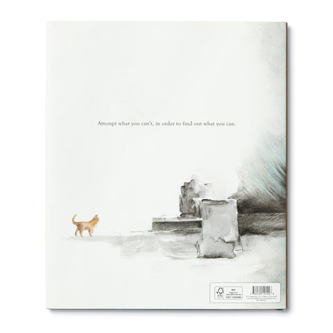 Libro (tapa dura) - Intentando