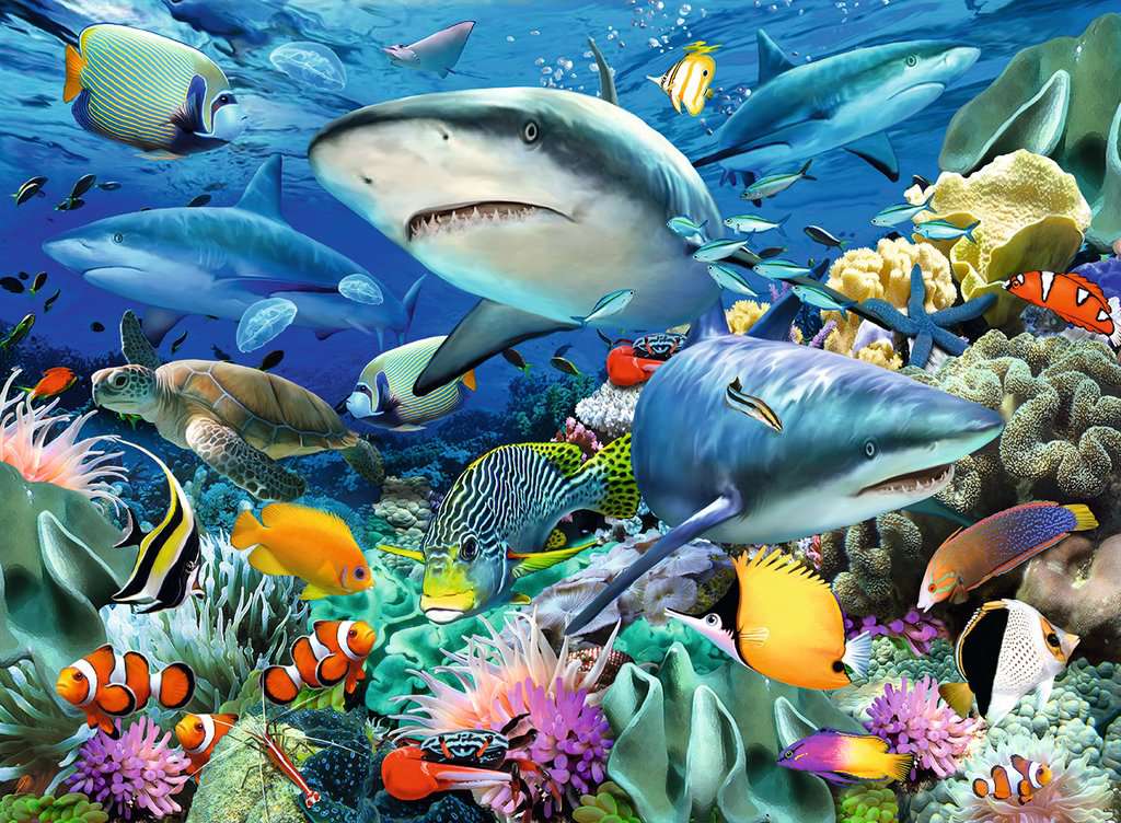 Puzzle - Shark Reef (100pc)