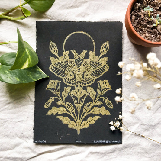 Print - IO Moth & Poppies Handprinted Linocut on Handmade Paper 5x7"