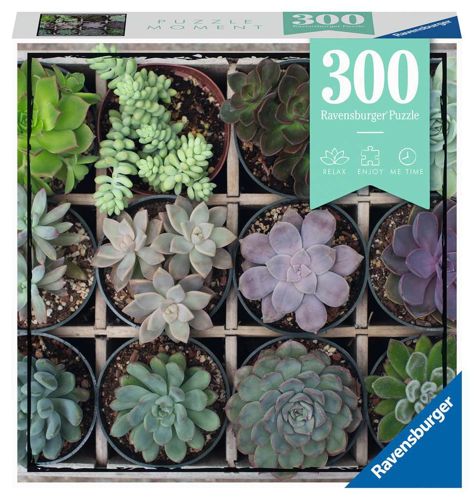 Puzzle - Green Succulents (300pc)