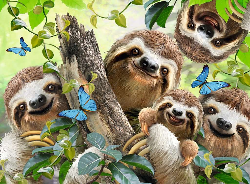 Puzzle - Sloth Selfie (500pc)