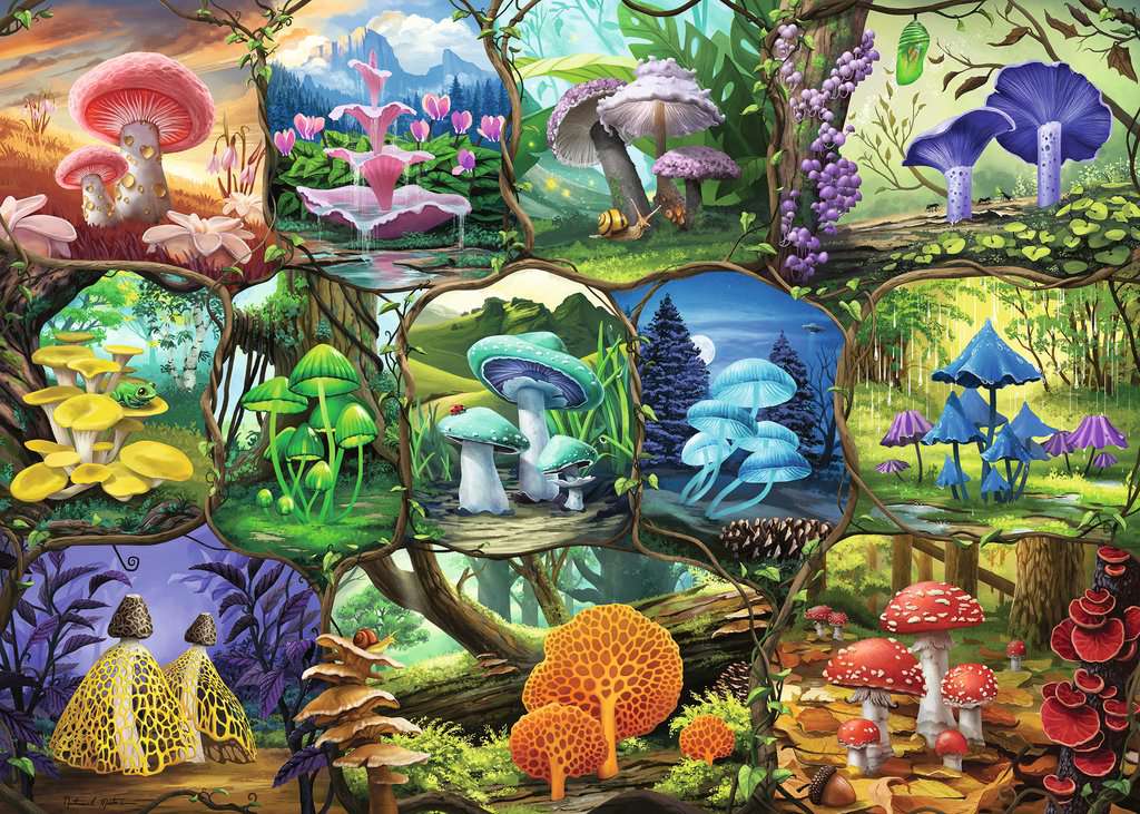 Puzzle - Beautiful Mushrooms (1000pc)