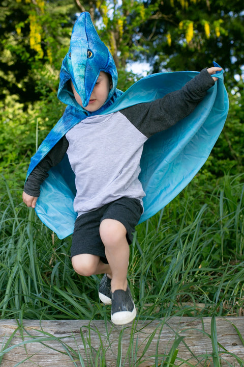 Dress Up - Pterodactyl Hooded Dinosaur Cape