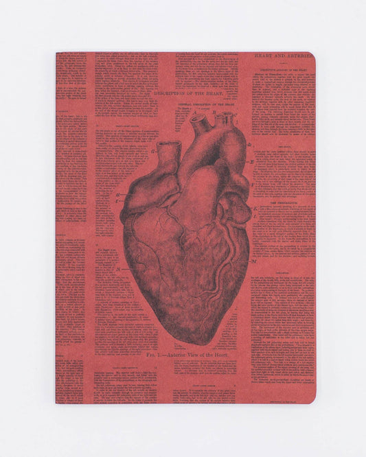 Journal (Softcover) - Anatomical Heart Lined