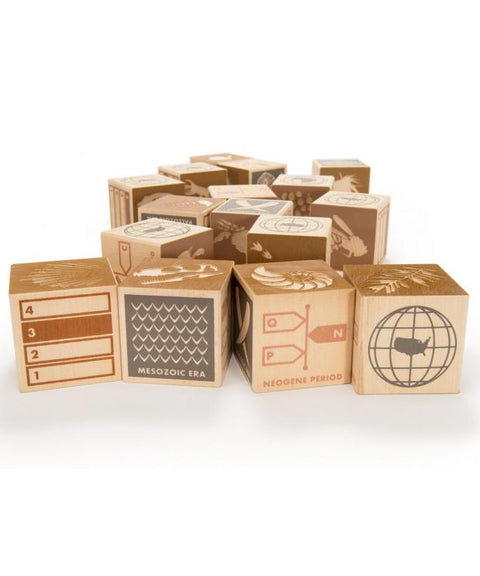 Blocks (Wood) - Fossil