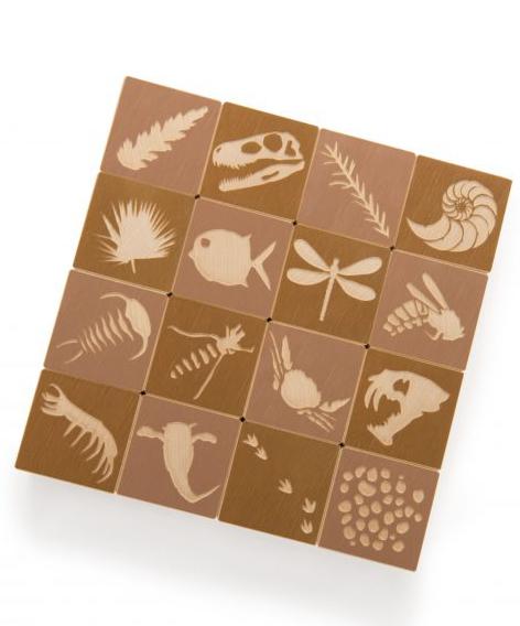 Blocks (Wood) - Fossil