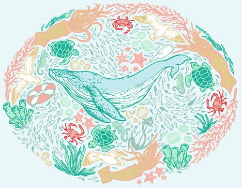 Print - Whale Illustration Giclee 8x10"
