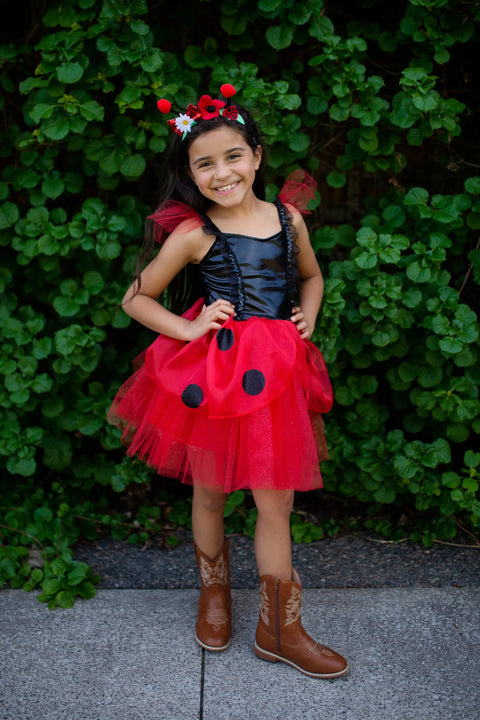 Dress Up - Ladybug Dress & Headband