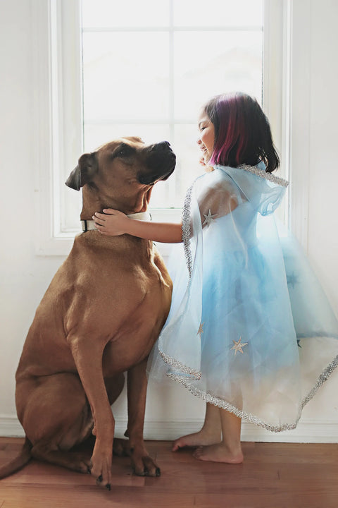 Dress Up - Snow Queen Cape