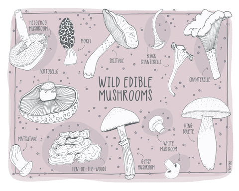 Print - Wild Edible Mushrooms