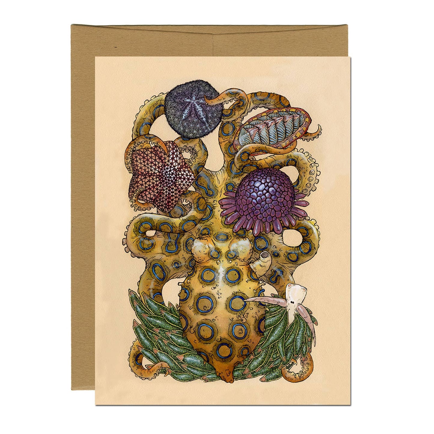 Greeting Card - Intertidal Zone