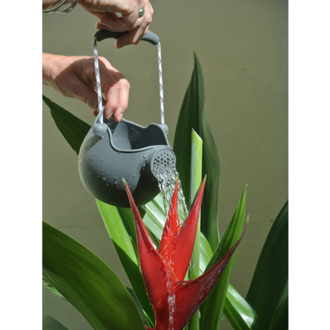 Watering Can - Cool Grey