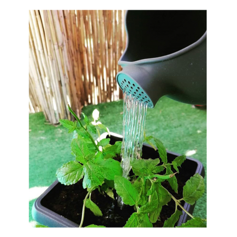 Watering Can - Cool Grey