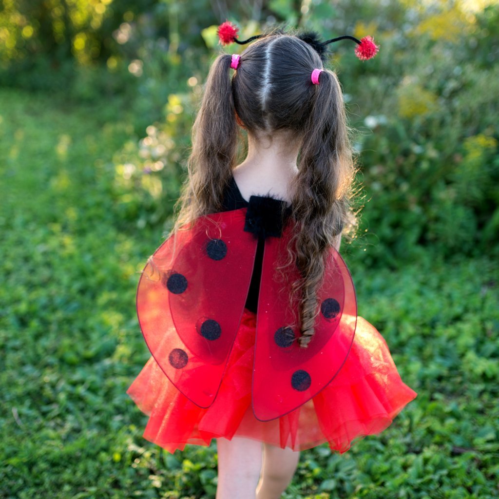 Dress Up - Glitter Ladybug Set