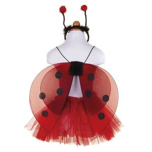 Dress Up - Glitter Ladybug Set