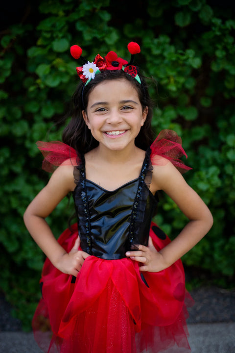 Dress Up - Ladybug Dress & Headband