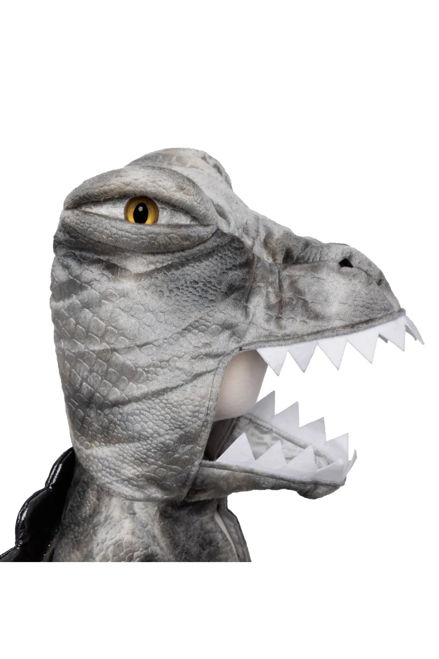 Dress Up - Grandasaurus Spinosaurus Cape