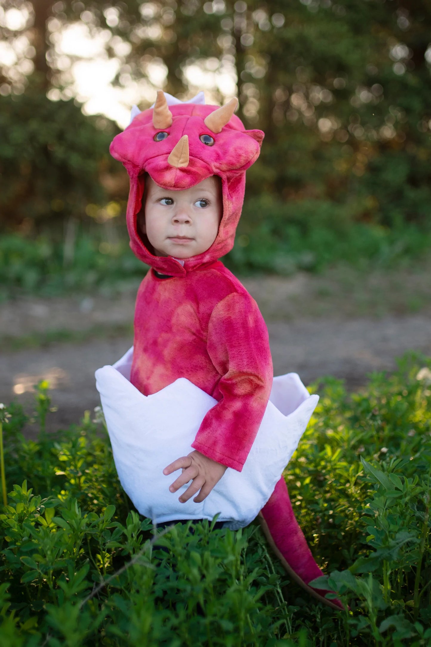 Dress Up - Baby Dino Triceratops