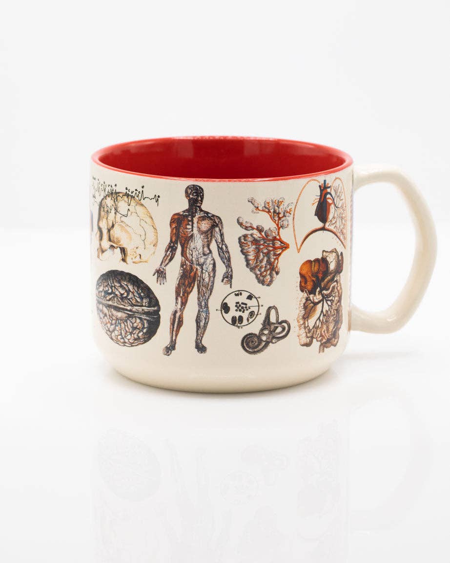 Mug - Anatomy: Vascular Ceramic