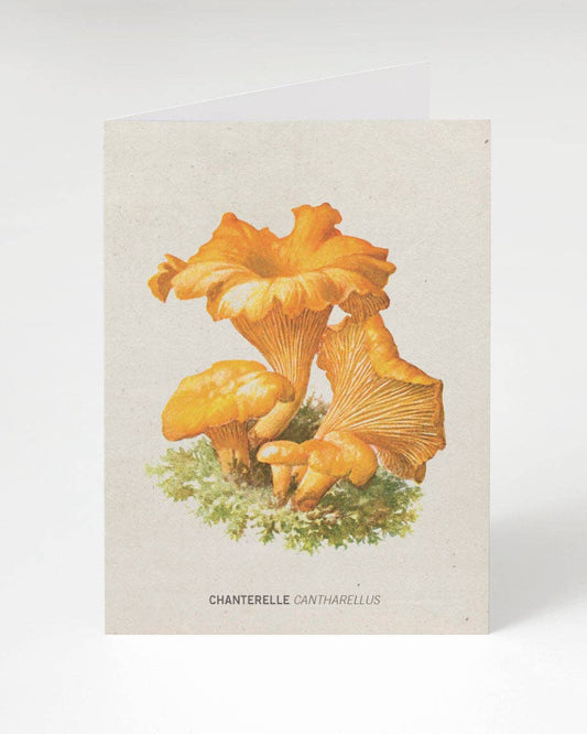 Greeting Card (Blank) - Chanterelle Mushroom