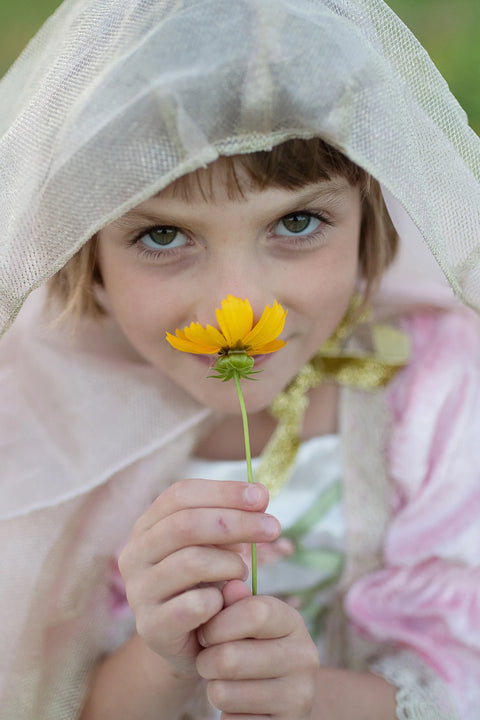 Dress Up - Royal Princess Cape (Gold/Pink)