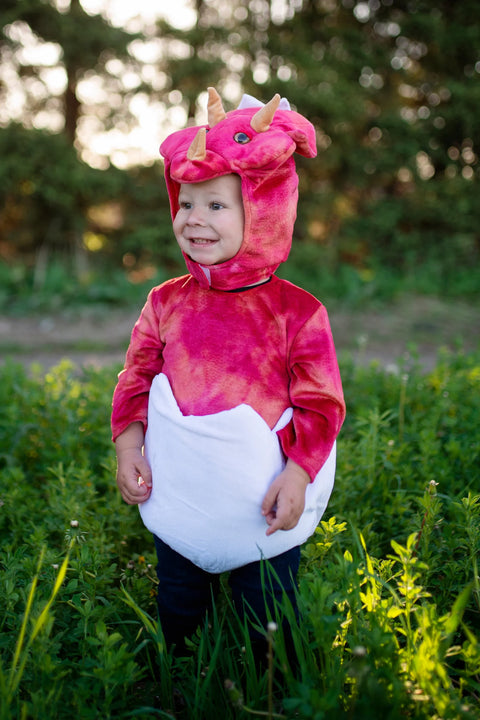 Dress Up - Baby Dino Triceratops
