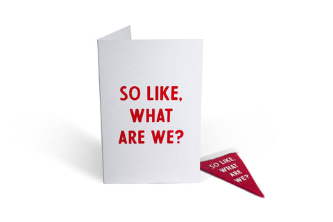 Greeting Card & Matching Mini Pennant - So Like, What Are We?