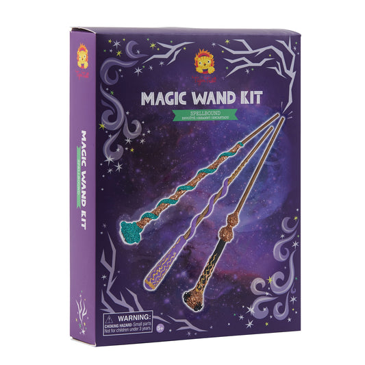 Activity - Magic Wand Kit