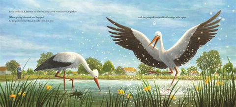 Book (Hardcover) - Feathers Together