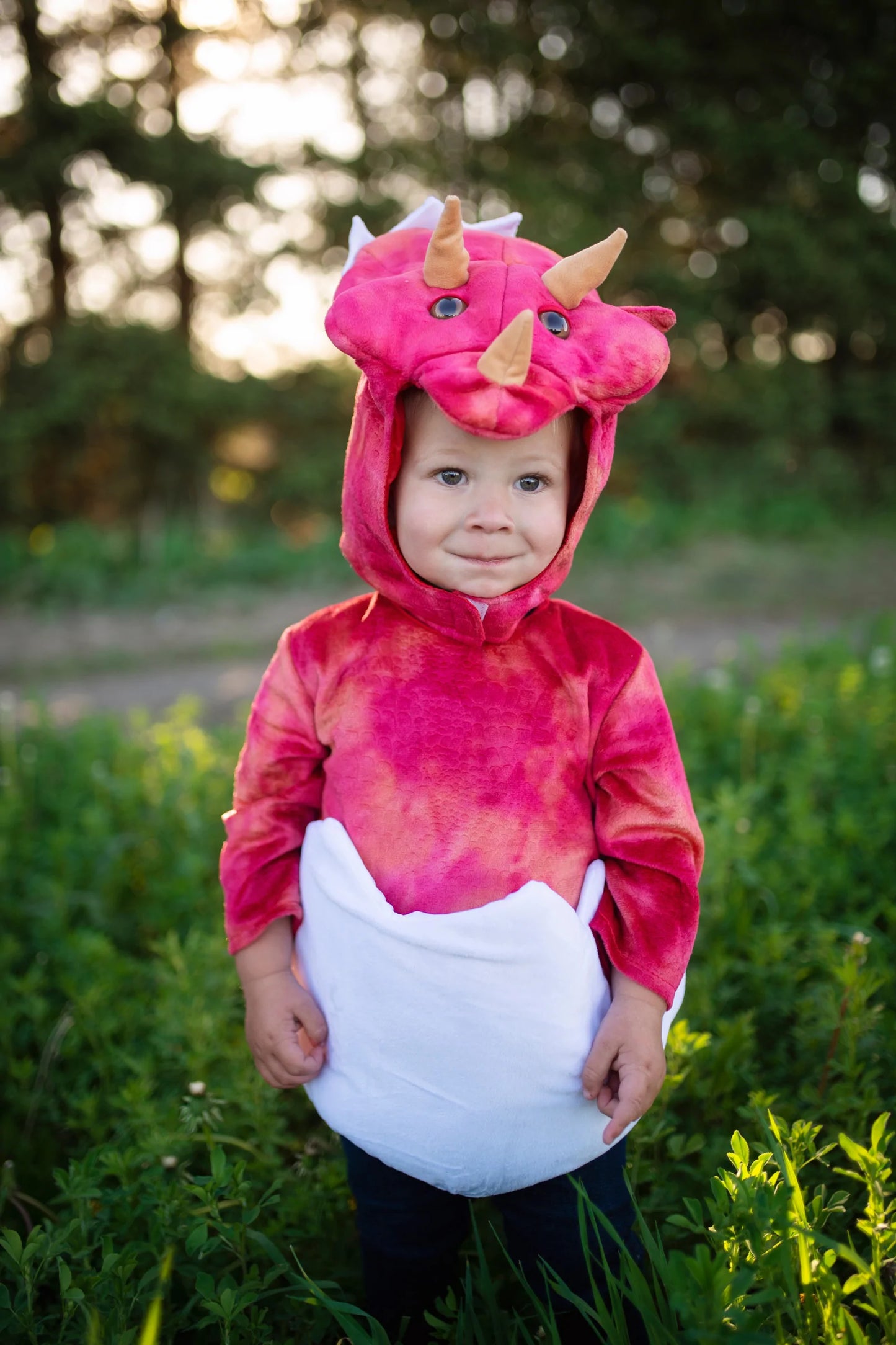 Dress Up - Baby Dino Triceratops