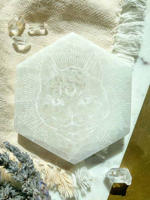 Selenite Hexagon Crystal - Midnight Familiar Cat (4")