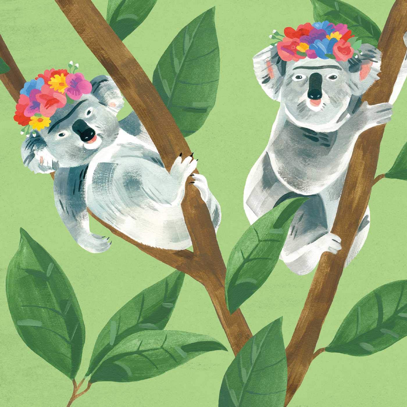 Book (Board) - Kahlo's Koalas