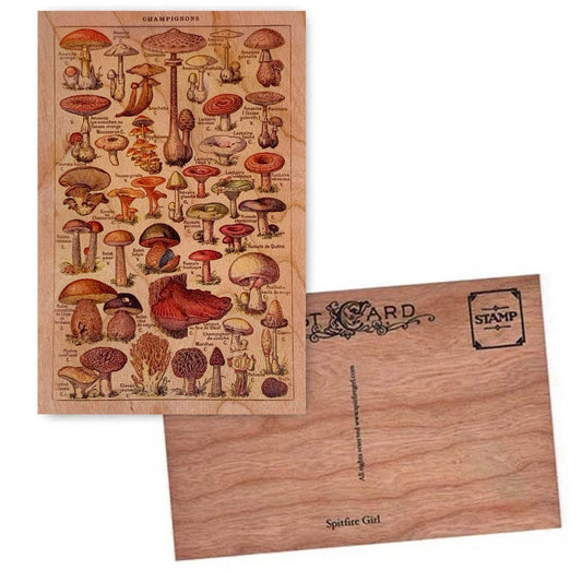 Wood Postcard - Mushroom