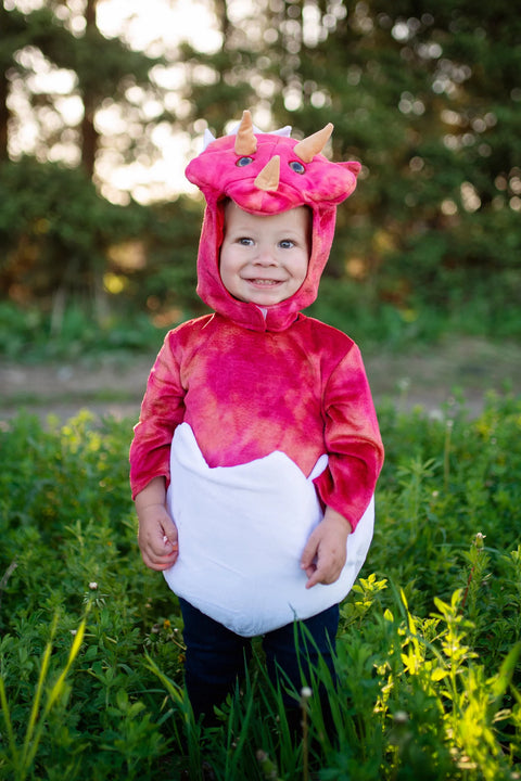 Dress Up - Baby Dino Triceratops