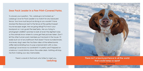 Book (Adult Paperback) - Sorry I Humped Your Leg