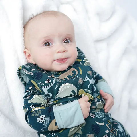 Sleep Sack - Prehistoric Friends