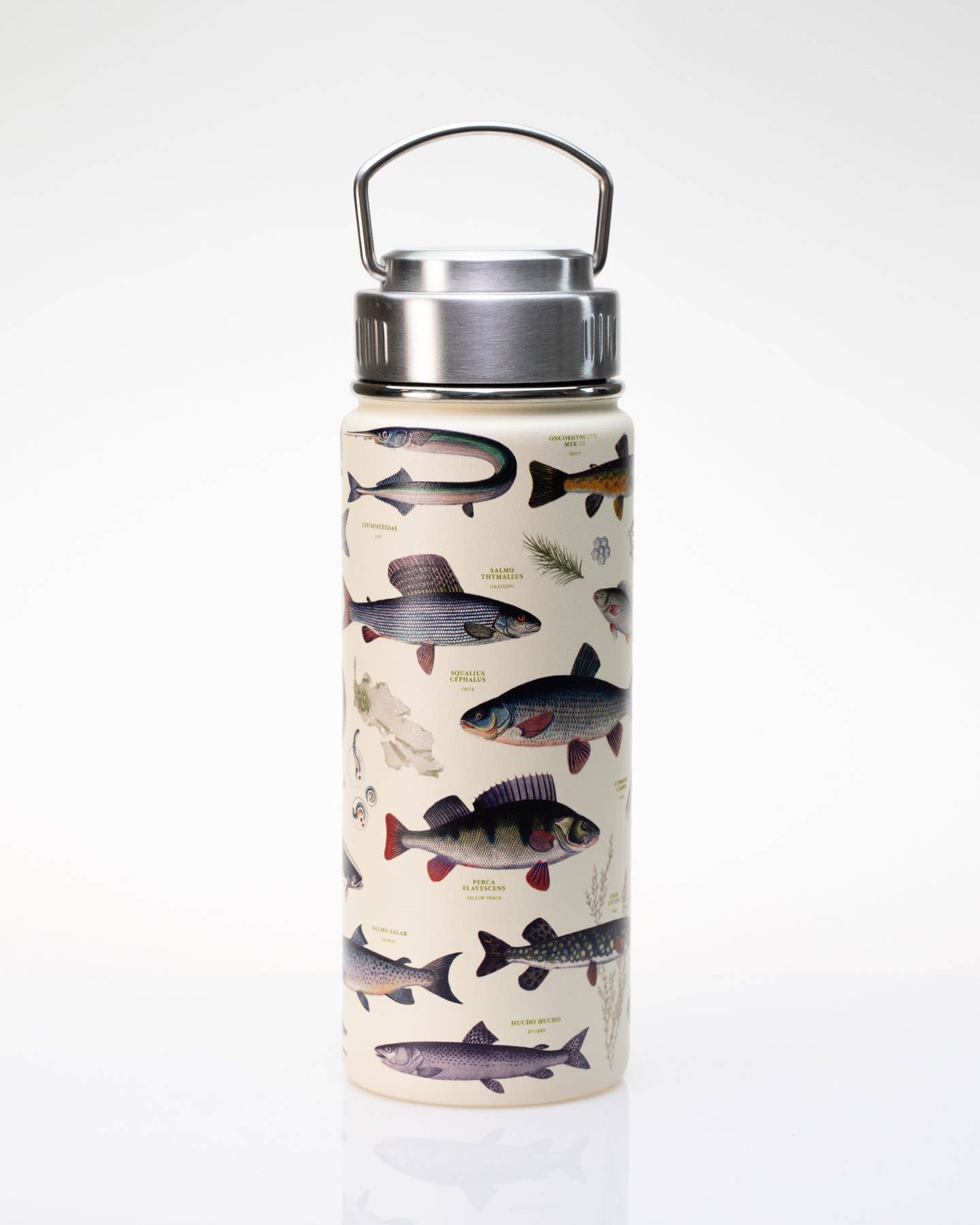 Water Bottle (Stainless Steel) - Freshwater Fish 18oz