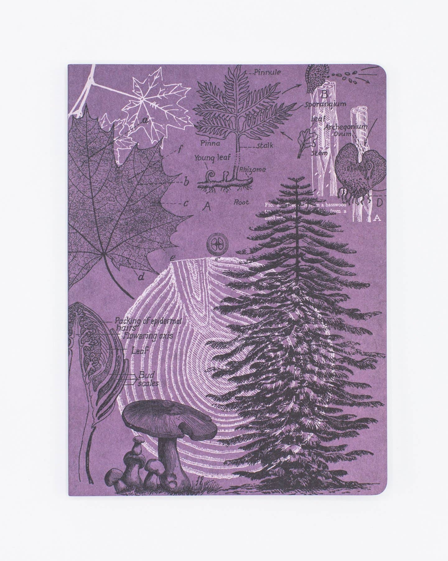 Journal (Softcover) - Forest at Dusk Lined