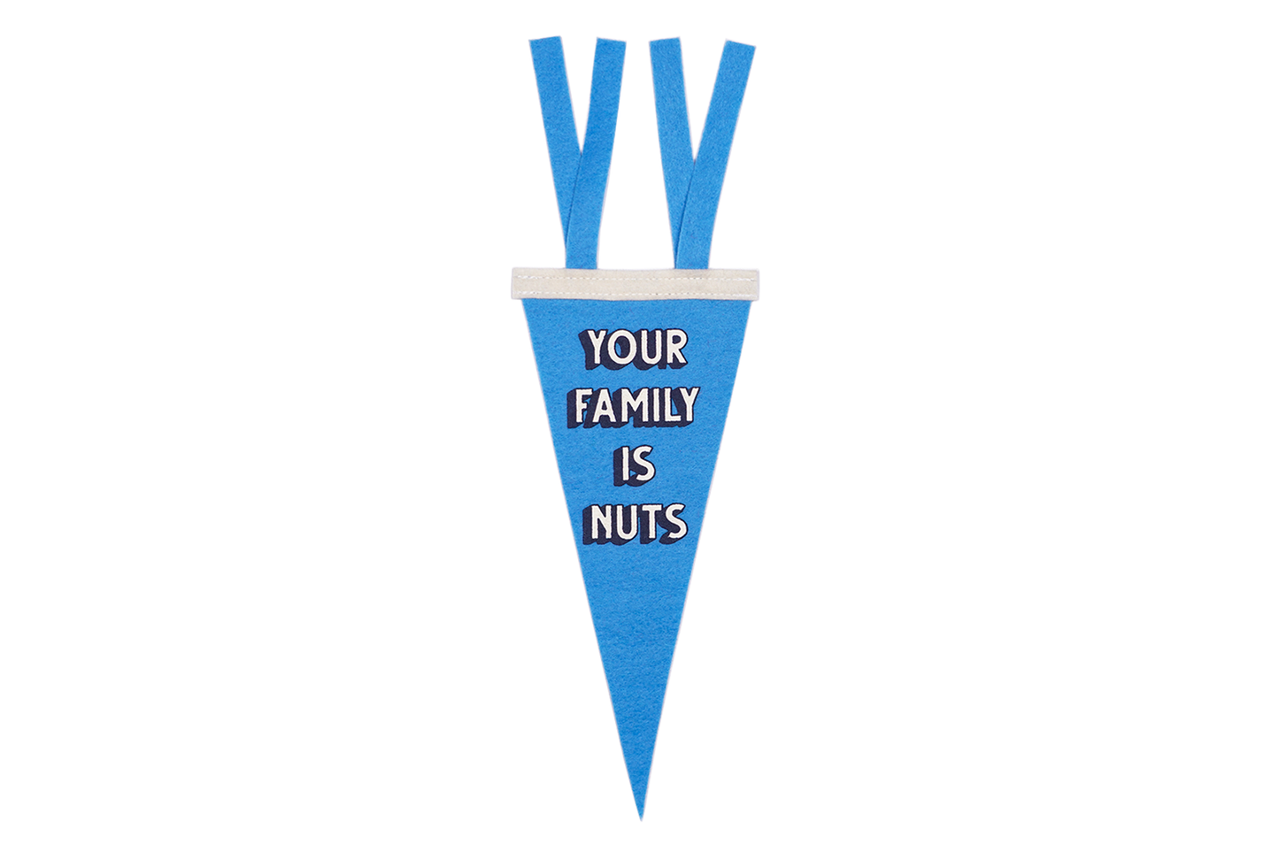 Mini Pennant - Your Family Is Nuts Blue