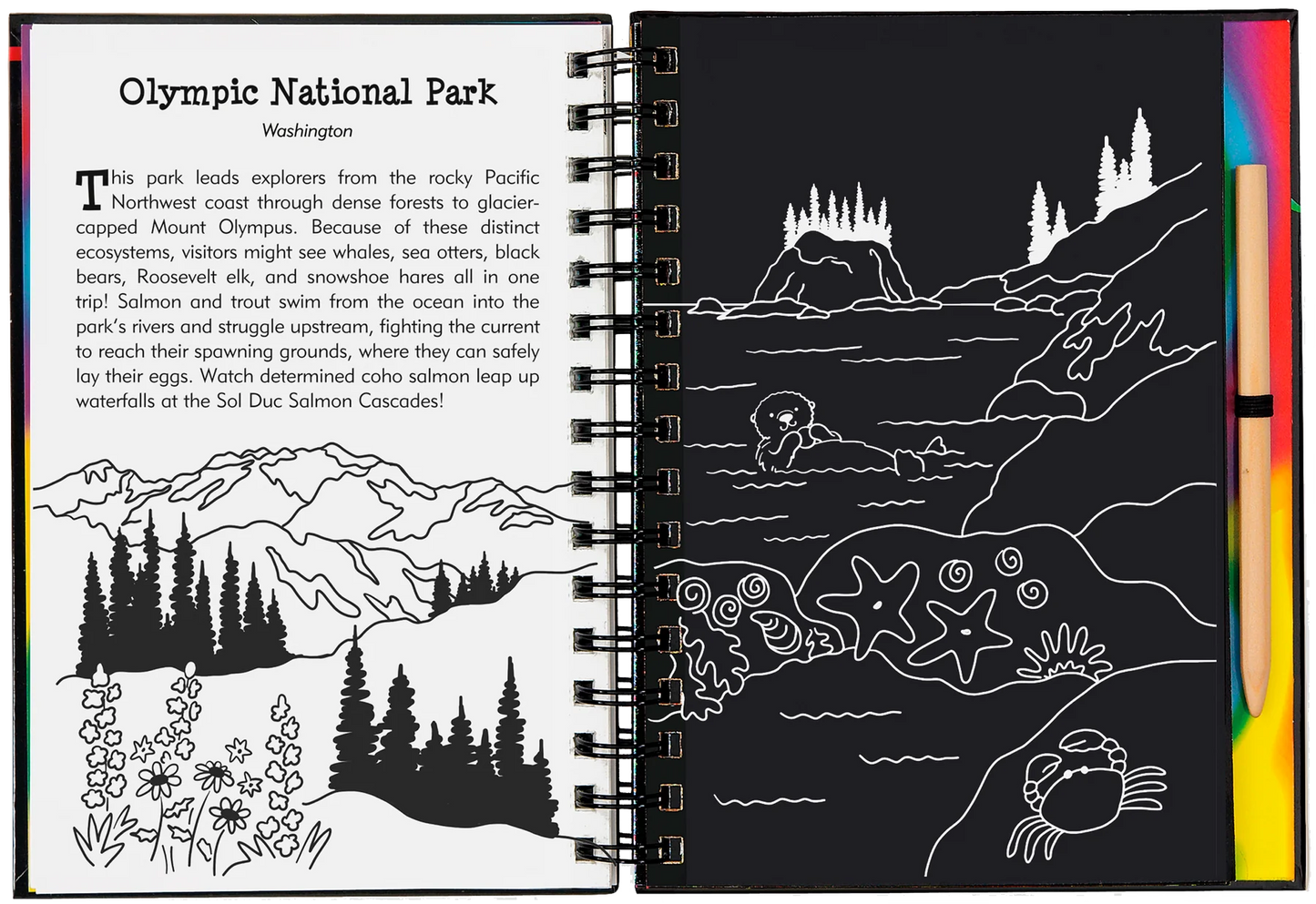 Scratch & Sketch - National Parks & Landmarks