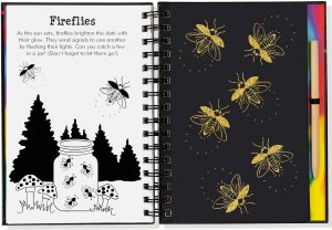 Scratch & Sketch - Sparkle