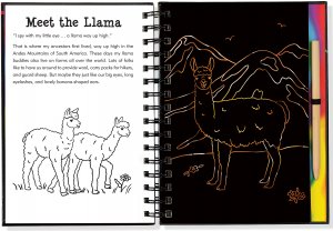 Scratch & Sketch - Llamas And Friends