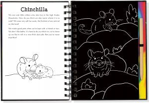 Scratch & Sketch - Llamas And Friends