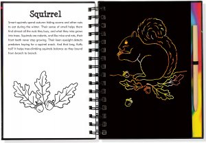 Scratch & Sketch - Forest Friends