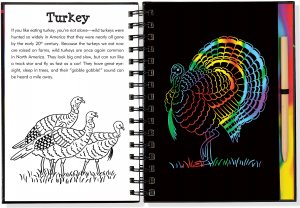 Scratch & Sketch - Forest Friends