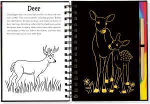 Scratch & Sketch - Forest Friends