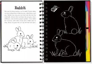 Scratch & Sketch - Forest Friends